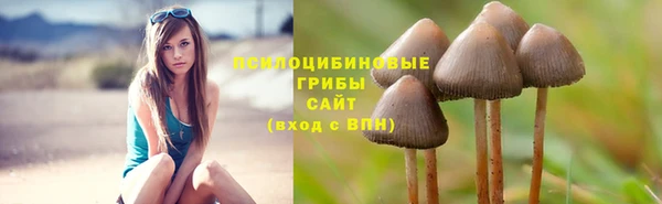 СК Нея