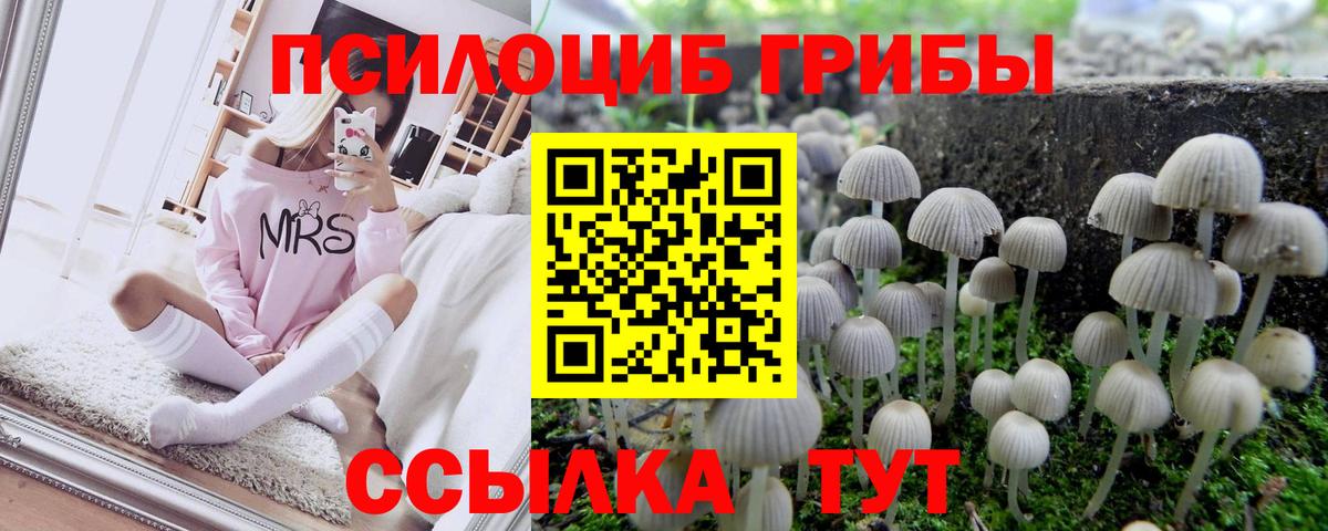 Ялта  Галлюциногенные грибы Magic Shrooms  Вход с VPN 