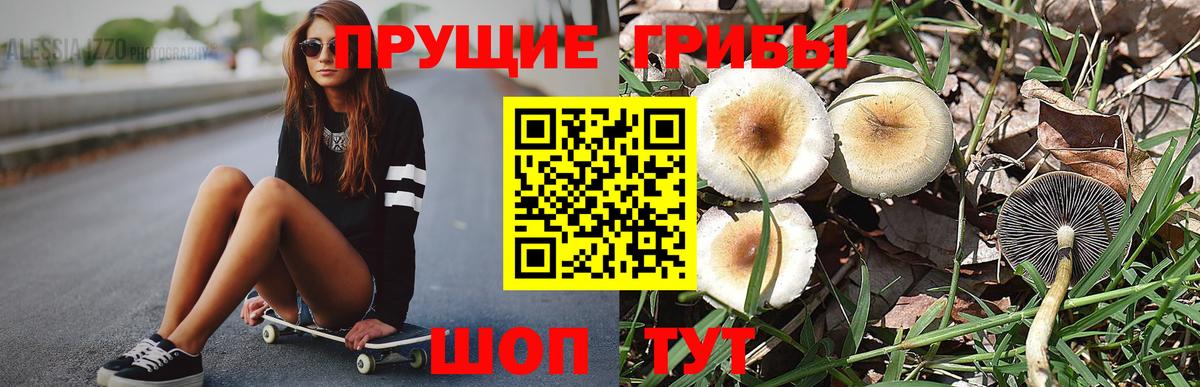 Псилоцибиновые грибы прущие грибы Ялта