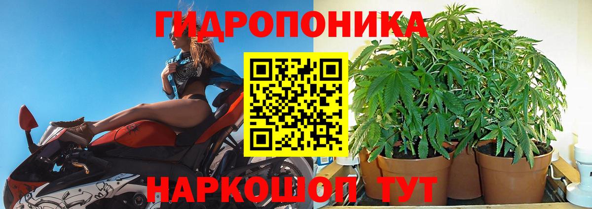 Конопля Ganja  Каннабис SATIVA & INDICA  Вход с VPN  МАРИХУАНА OG Kush  Ялта 